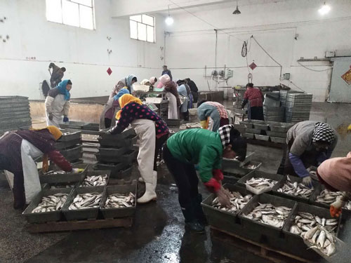 濱州哪里能批發海產品